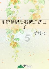 方城县拐河镇：瑞雪纷飞盼新春 清洁卫生爱家园