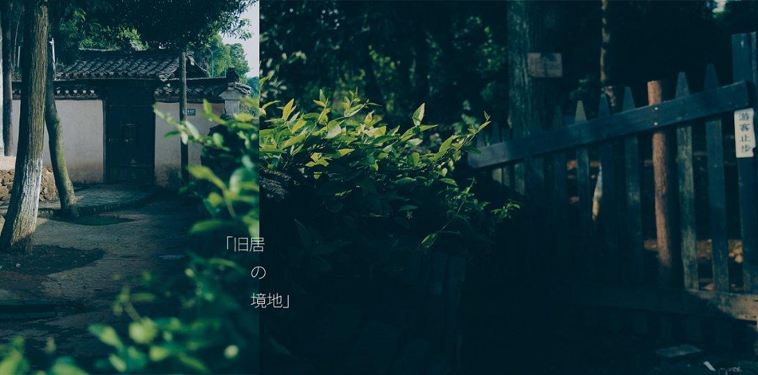 救援蓝鸦