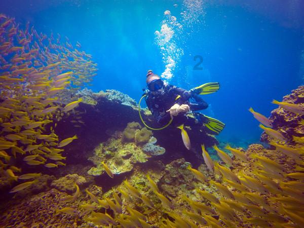 桂林旅游：与柳州市文化广电和旅游局、华南新东方文旅达成战略合作