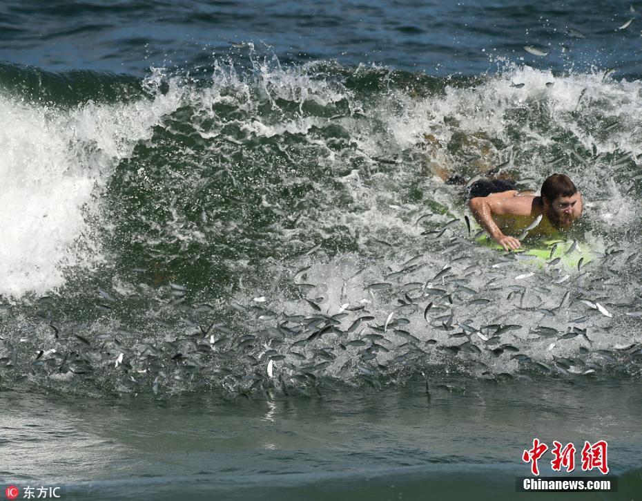 湖南长沙 小车刹车失灵高速狂飙 交警冒险救援