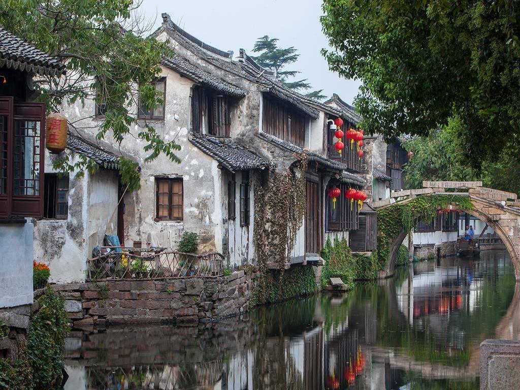 什么盘什么踮 要用12生肖里的动物游戏画面