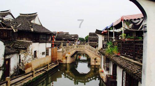 教你做年夜饭丨三亚国宴名厨谭成群：过年吃鸡讨吉利 一道农家白切散养高山阉鸡教给你